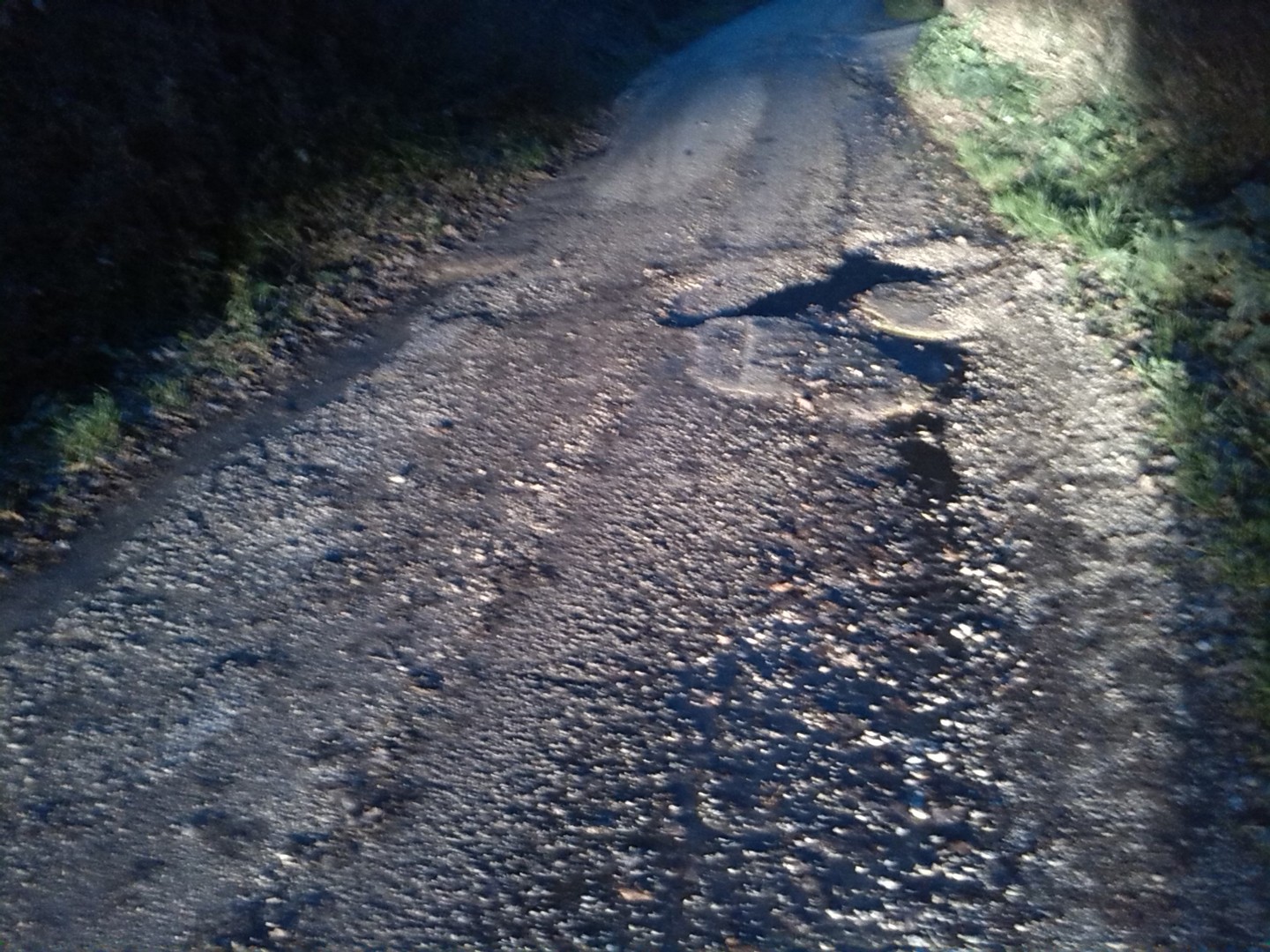 Buche a Farneto (3)