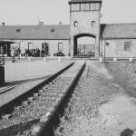 Birkenau (foto di Francesca Salvatori)